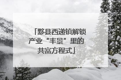 黟县西递镇解锁产业“丰景”里的共富方程式