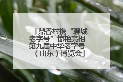鼎香村携“聊城老字号”惊艳亮相第九届中华老字号（山东）博览会