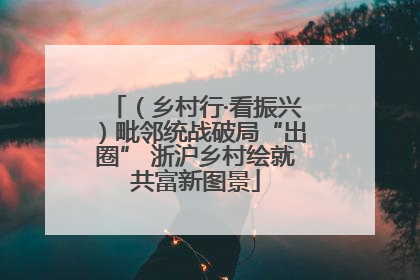 （乡村行·看振兴）毗邻统战破局“出圈” 浙沪乡村绘就共富新图景