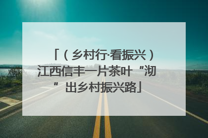 （乡村行·看振兴）江西信丰一片茶叶“沏”出乡村振兴路