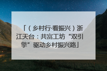 （乡村行·看振兴）浙江天台：共富工坊“双引擎”驱动乡村振兴路
