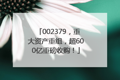 002379，重大资产重组，超600亿重磅收购！