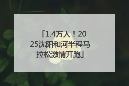 1.4万人！2025沈阳和河半程马拉松激情开跑