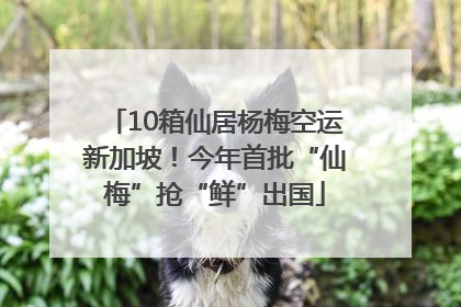 10箱仙居杨梅空运新加坡！今年首批“仙梅”抢“鲜”出国