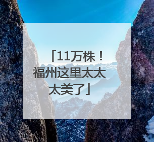 11万株！福州这里太太太美了