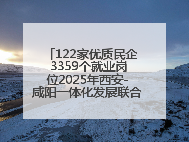 122家优质民企 3359个就业岗位2025年西安-咸阳一体化发展联合招聘会举办