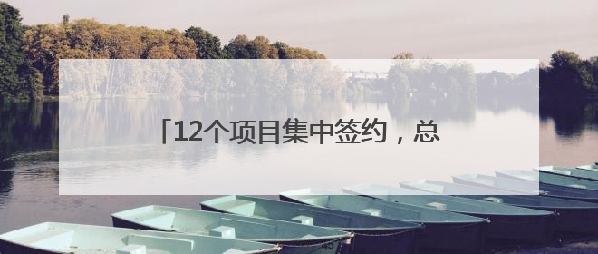 12个项目集中签约，总额超300亿元！金砖创新基地产业项目对接会举行