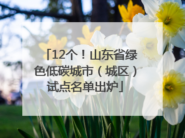 12个！山东省绿色低碳城市（城区）试点名单出炉