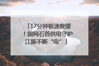 17分钟极速救援！国网石首供电守护江豚不断“电”