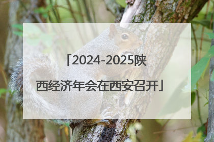 2024-2025陕西经济年会在西安召开