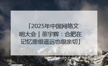 2025年中国网络文明大会｜董宇辉：合肥在记忆里很遥远也很亲切