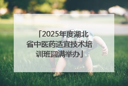 2025年度湖北省中医药适宜技术培训班圆满举办