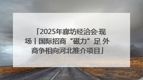 2025年廊坊经洽会·现场丨国际招商“磁力”足 外商争相向河北推介项目