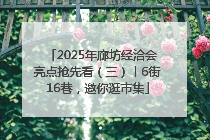 2025年廊坊经洽会亮点抢先看（三）丨6街16巷，邀你逛市集