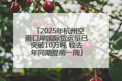 2025年杭州空港口岸国际货运量已突破10万吨 较去年同期提前一周