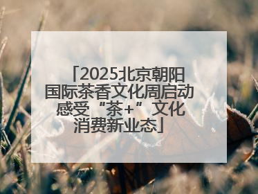 2025北京朝阳国际茶香文化周启动 感受“茶+”文化消费新业态