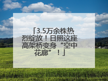 3.5万余株热烈绽放！日照这座高架桥变身“空中花廊”！