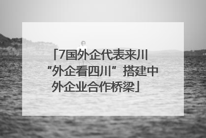 7国外企代表来川 “外企看四川”搭建中外企业合作桥梁
