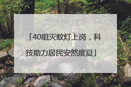 40组灭蚊灯上岗，科技助力居民安然度夏