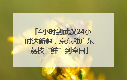 4小时到武汉24小时达新疆，京东助广东荔枝“鲜”到全国