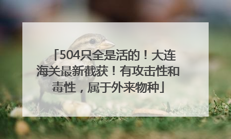 504只全是活的！大连海关最新截获！有攻击性和毒性，属于外来物种