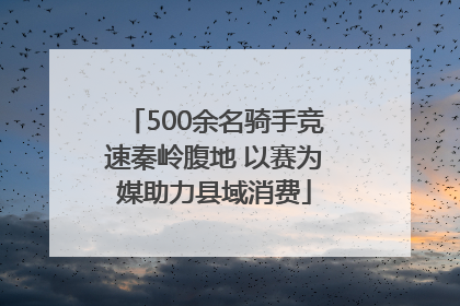 500余名骑手竞速秦岭腹地 以赛为媒助力县域消费