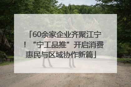 60余家企业齐聚江宁！“宁工品推”开启消费惠民与区域协作新篇