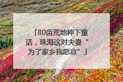 80亩荒地种下童话,珠海这对夫妻“为了家乡我愿意”