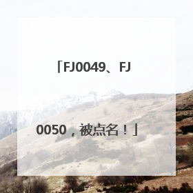 FJ0049、FJ0050，被点名！